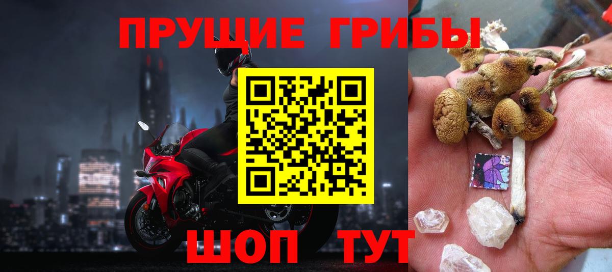 Красноярск  Галлюциногенные грибы MAGIC MUSHROOMS  Вход с VPN  Галлюциногенные грибы мухоморы 